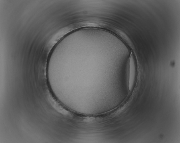 X0000116590938200912312033