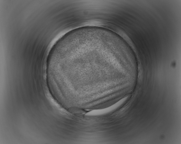 X0000116590939200912312033