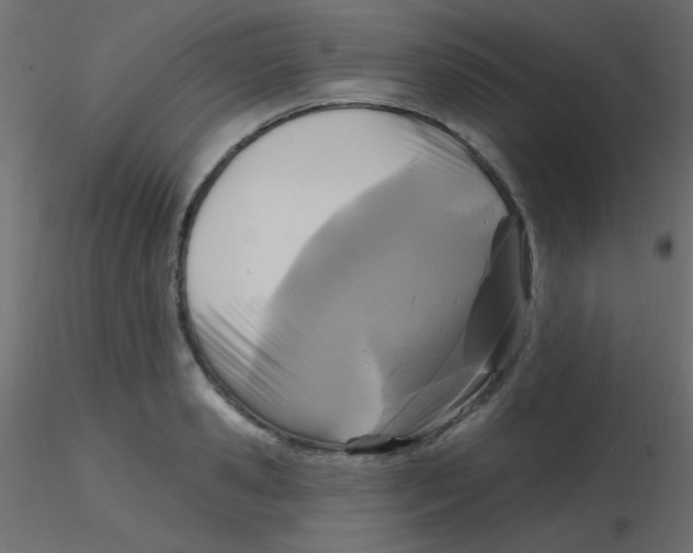 X0000116590941200912312033