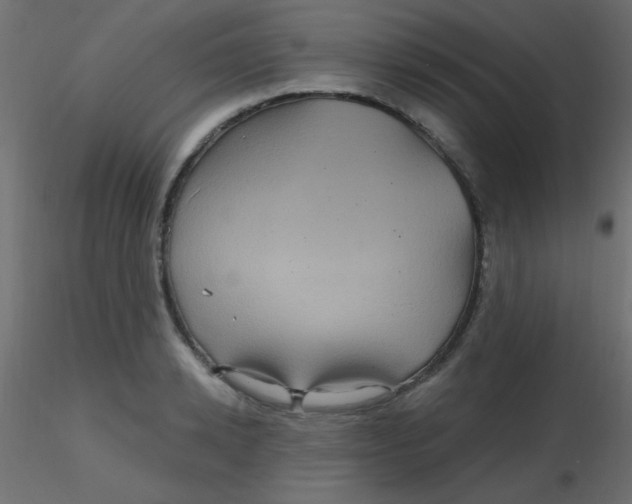 X0000116590942200912312033