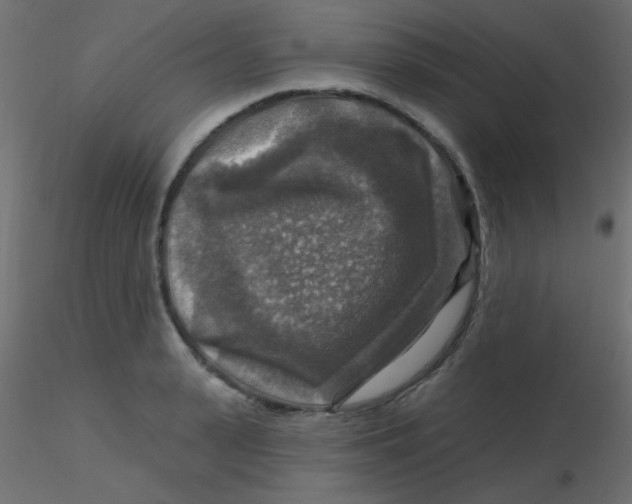 X0000116590943200912312033