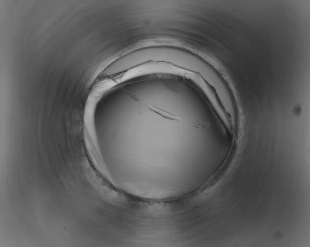 X0000116590945200912312033