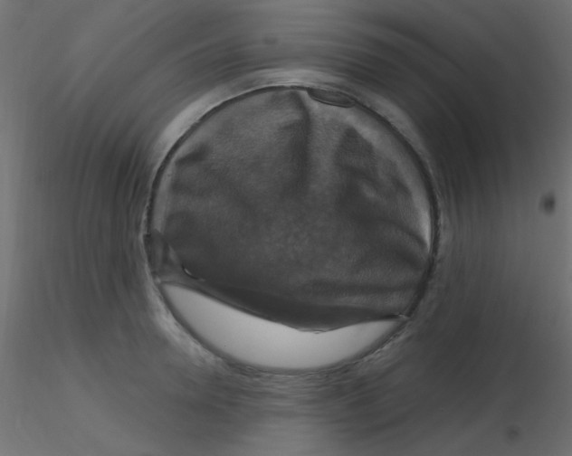 X0000116590946200912312033