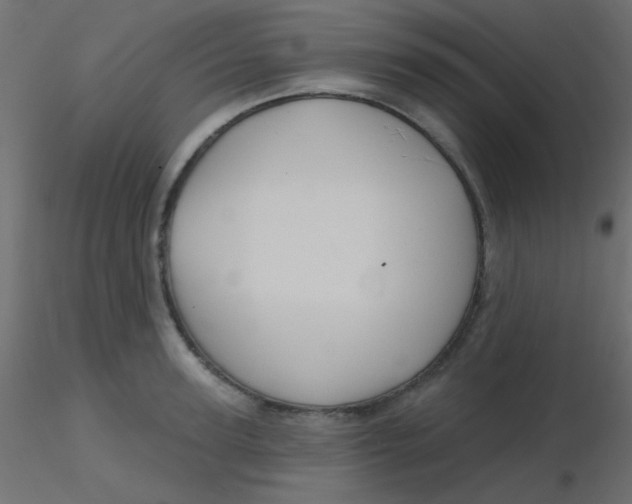 X0000116590947200912312033