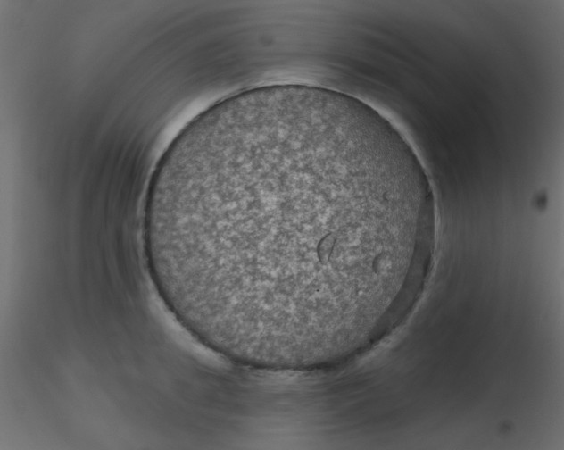 X0000116590949200912312033