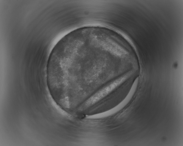 X0000116590951200912312033