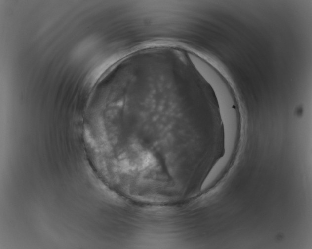 X0000116590953200912312033