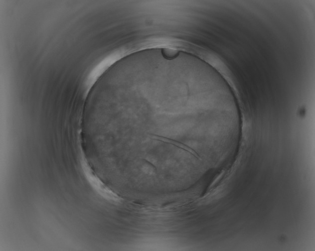 X0000116590954200912312033