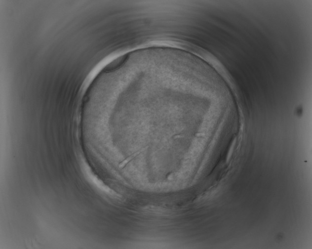 X0000116590955200912312033