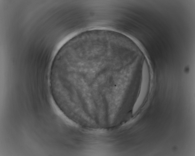 X0000116590957200912312033