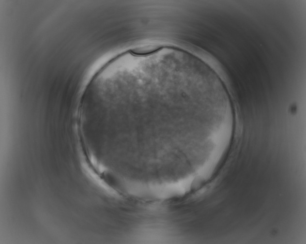 X0000116590958200912312033