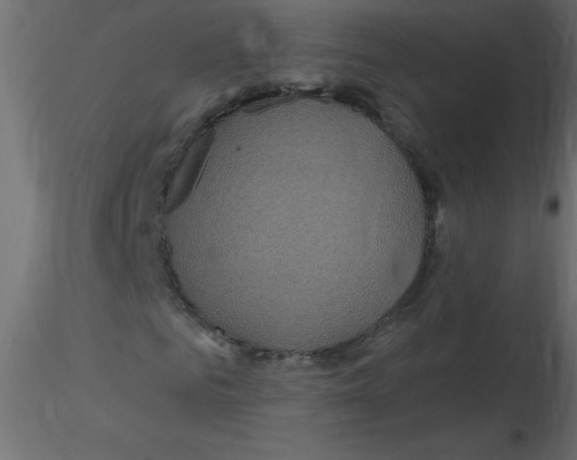 X0000116590961200912312033