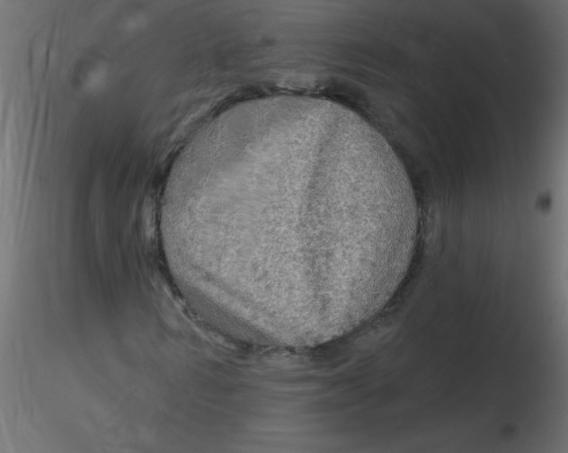 X0000116590962200912312033