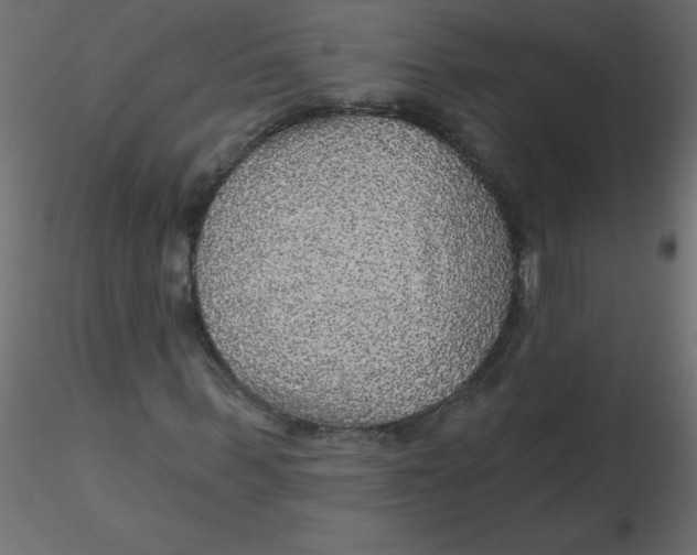 X0000116590963200912312033