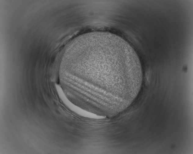 X0000116590964200912312033