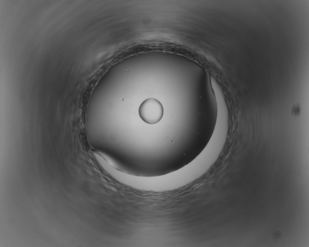 X0000116590965200912312033