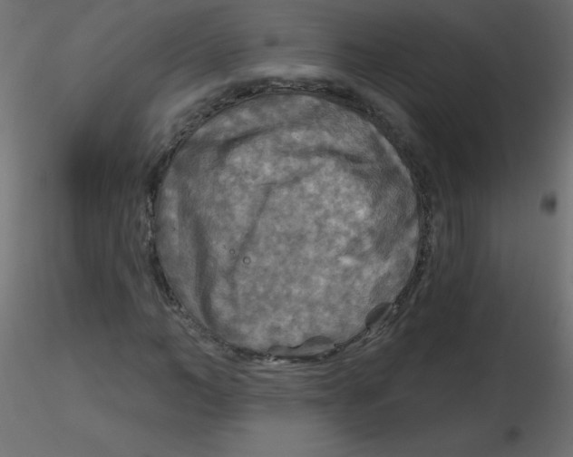 X0000116590966200912312033