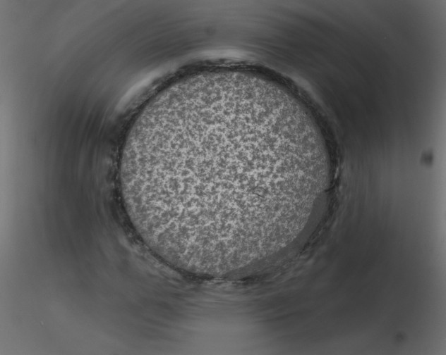 X0000116590967200912312033