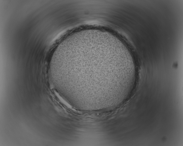 X0000116590968200912312032