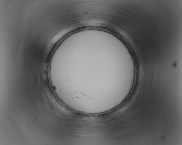 X0000116590970200912312032