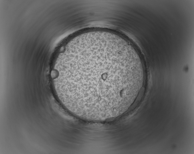 X0000116590971200912312032