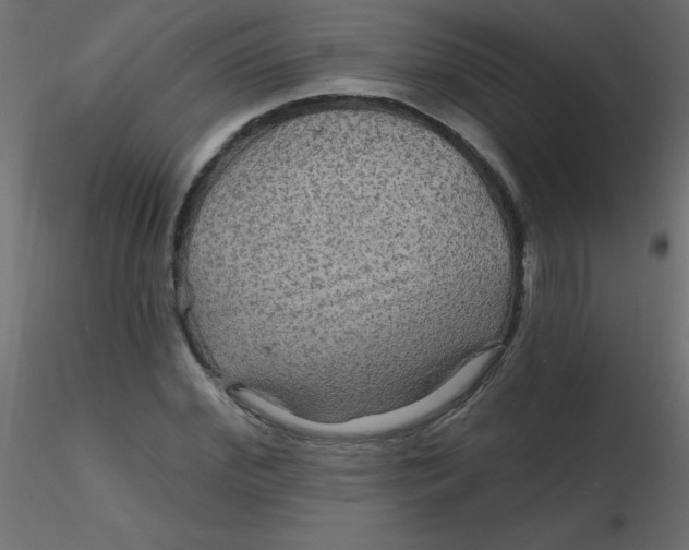 X0000116590972200912312032