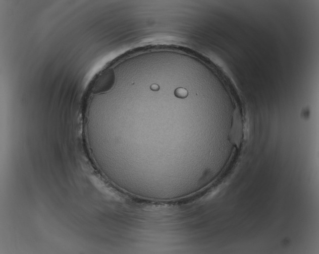 X0000116590973200912312032