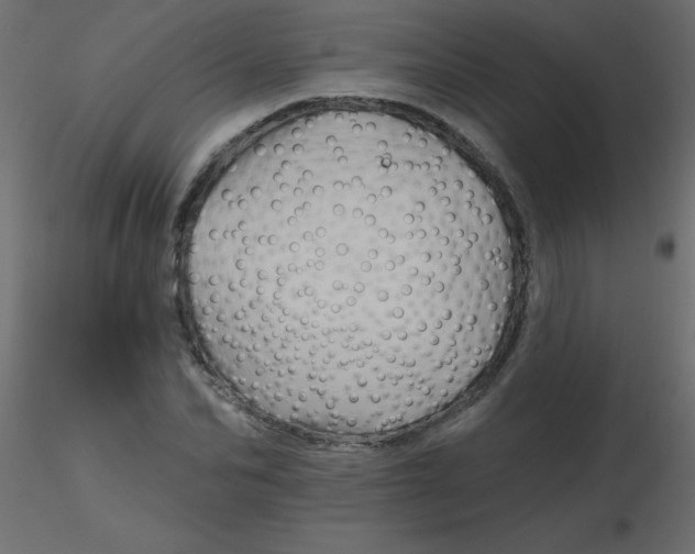 X0000116590974200912312032