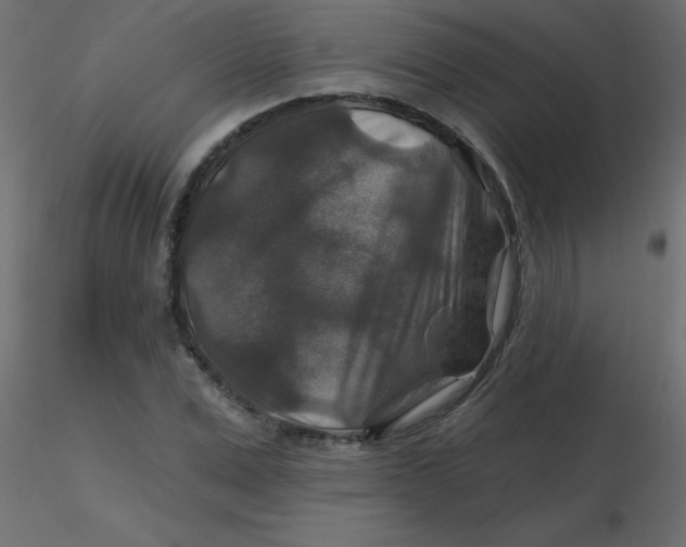 X0000116590975200912312032