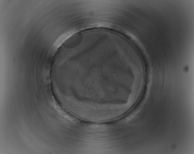 X0000116590977200912312032