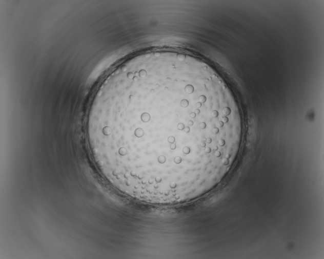 X0000116590978200912312032