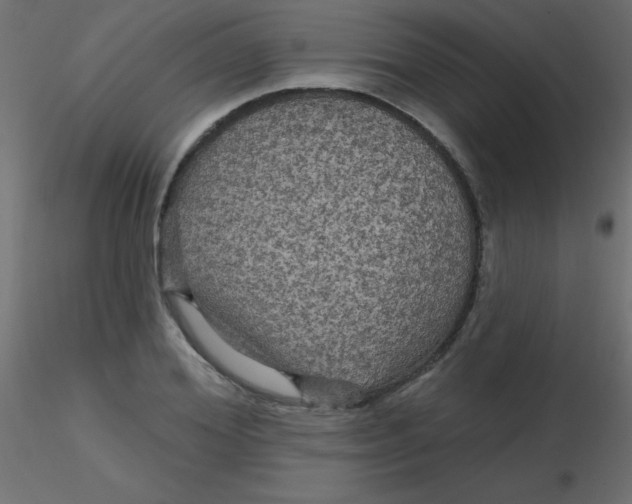 X0000116590980200912312032