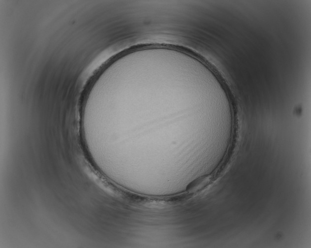 X0000116590982200912312032