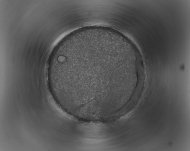 X0000116590983200912312032