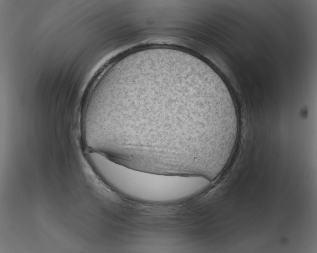 X0000116590984200912312032