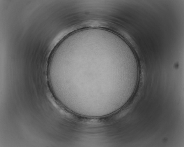 X0000116590986200912312032