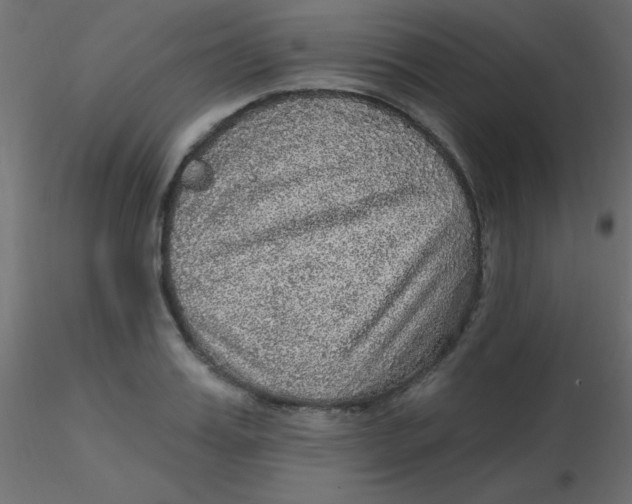 X0000116590987200912312032