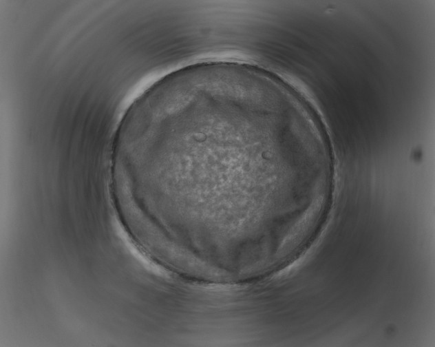 X0000116590989200912312032