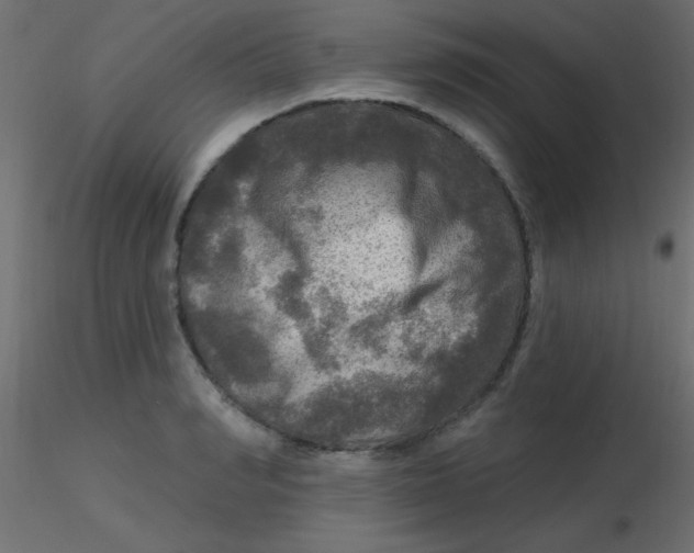 X0000116590990200912312032