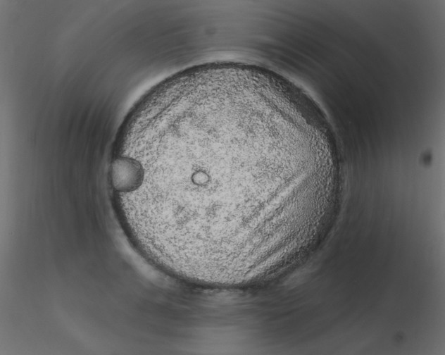 X0000116590991200912312032