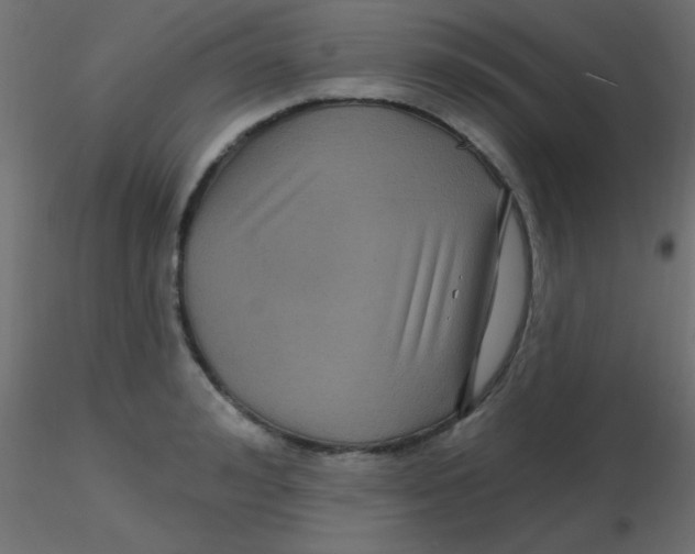 X0000116590992200912312032