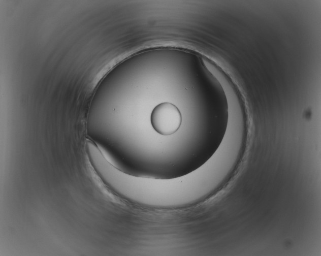 X0000116590993200912312032