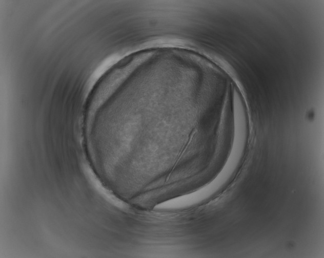 X0000116590997200912312032