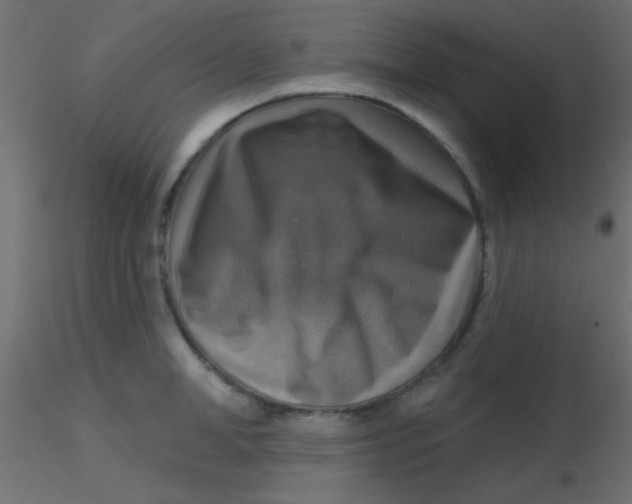 X0000116590998200912312032