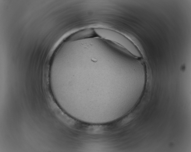 X0000116591000200912312032