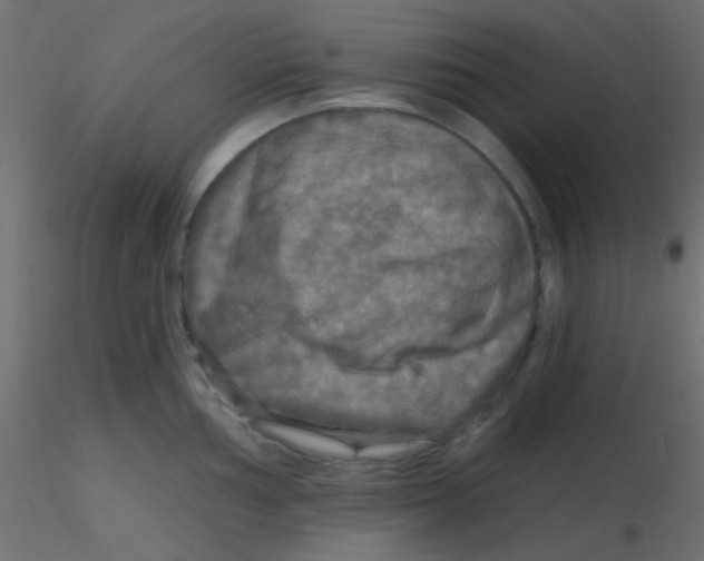 X0000116591002200912312032