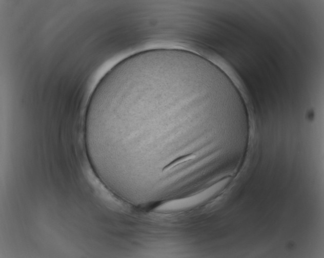 X0000116591004200912312032