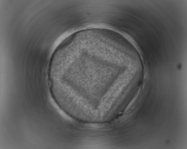 X0000116591005200912312032