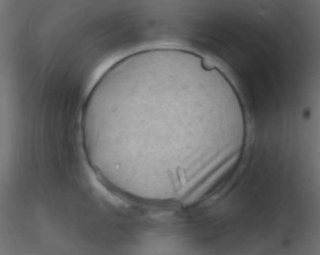 X0000116591006200912312032