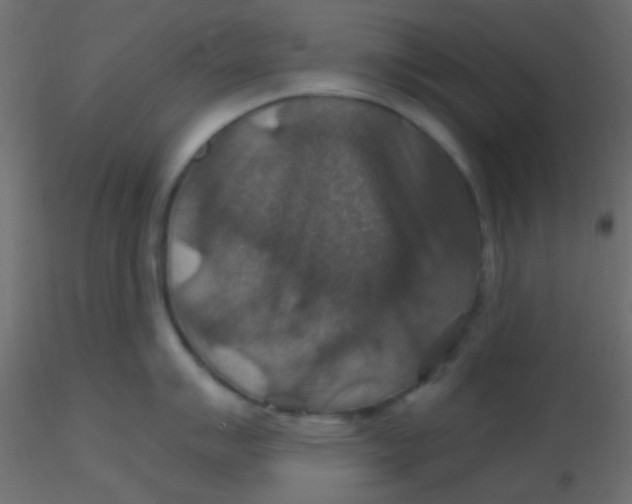 X0000116591007200912312032